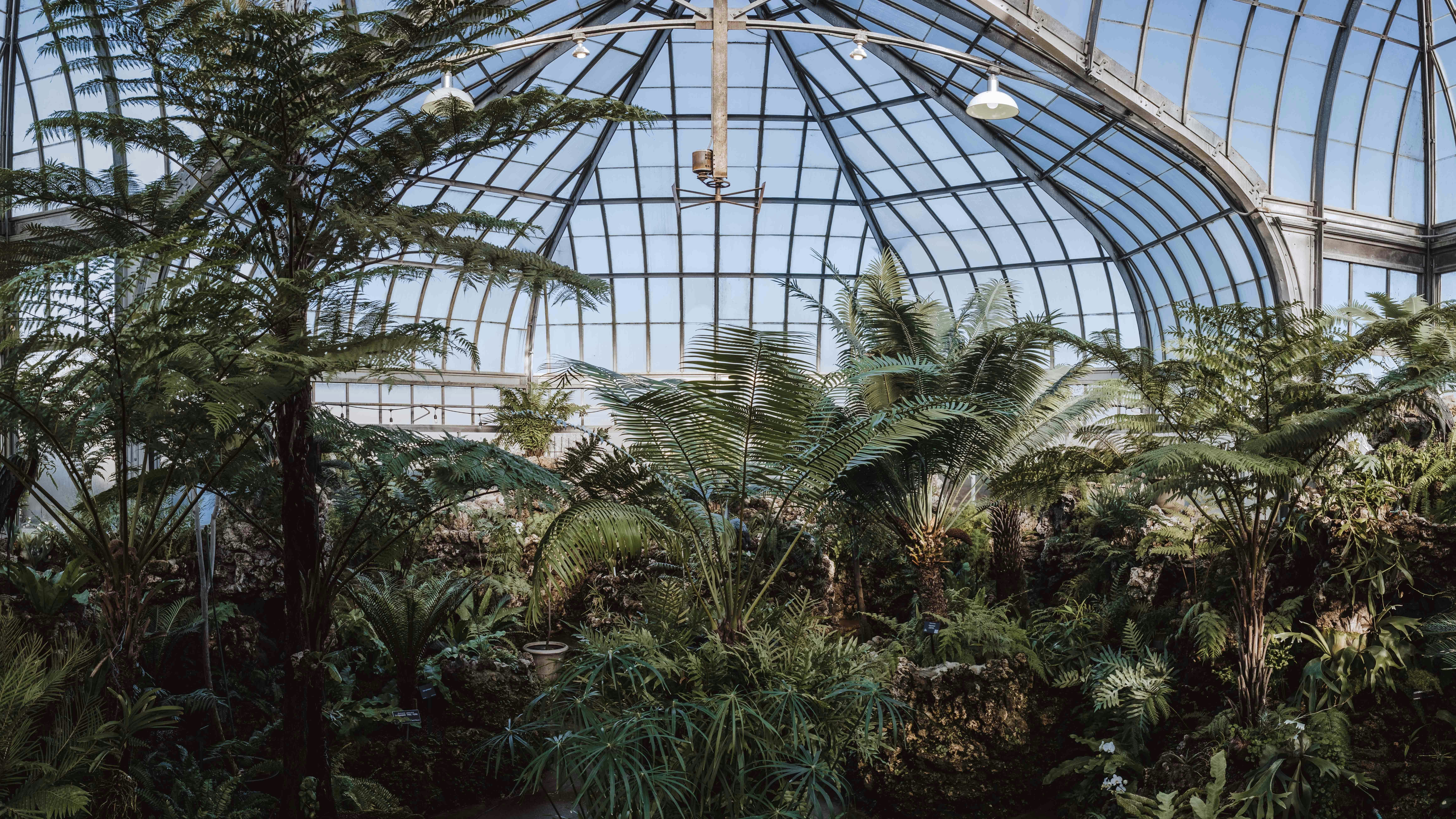 Photo by brianbeckwith