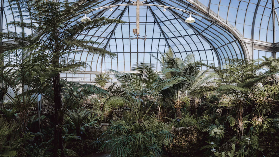 Lush indoor garden at Belle Isle Conservatory in Detroit