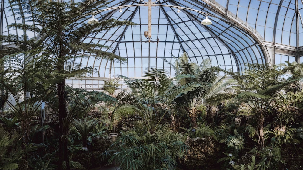 the inside of a greenhouse with lots of trees and plants