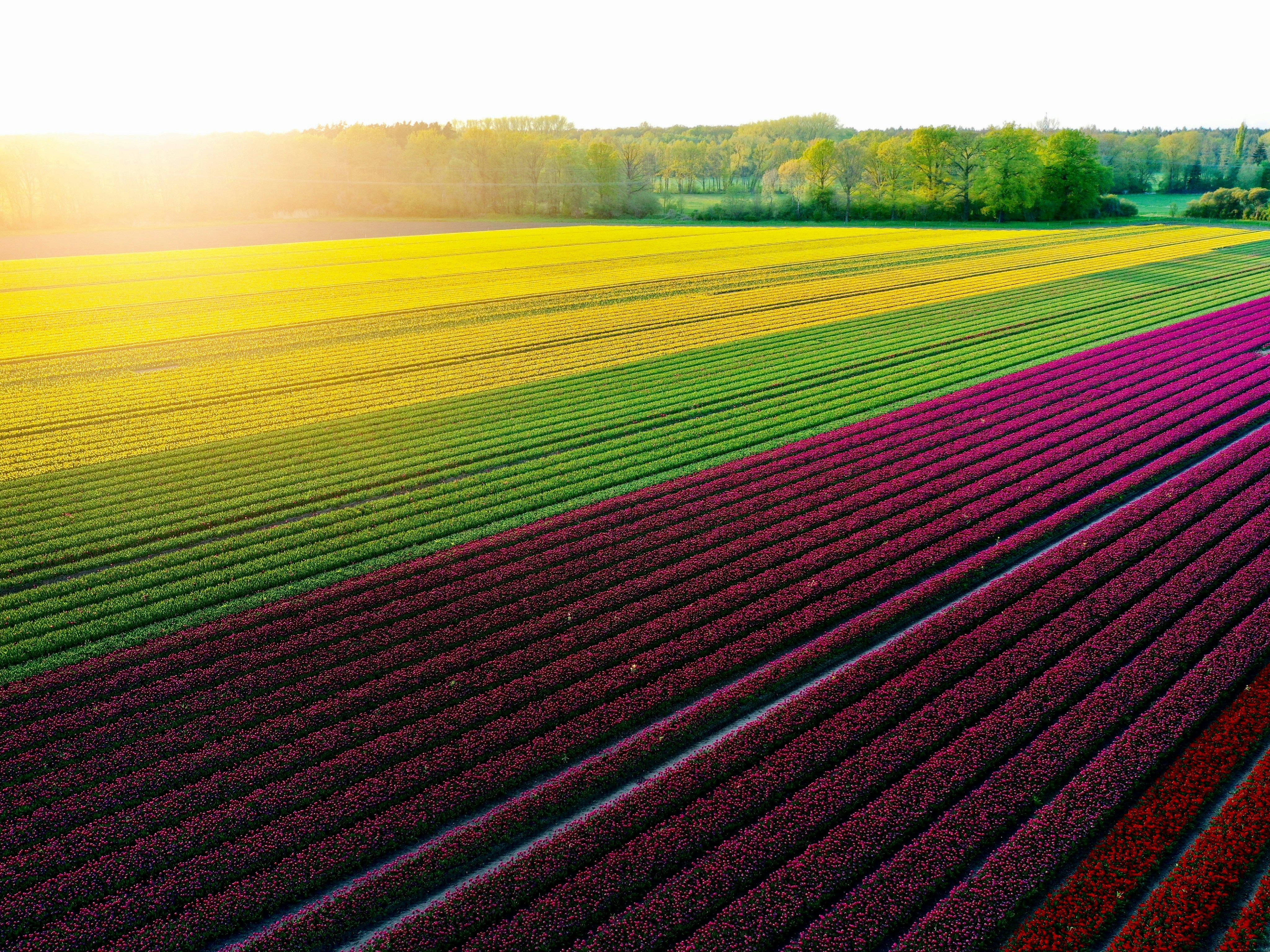 Photo by andreasfelske