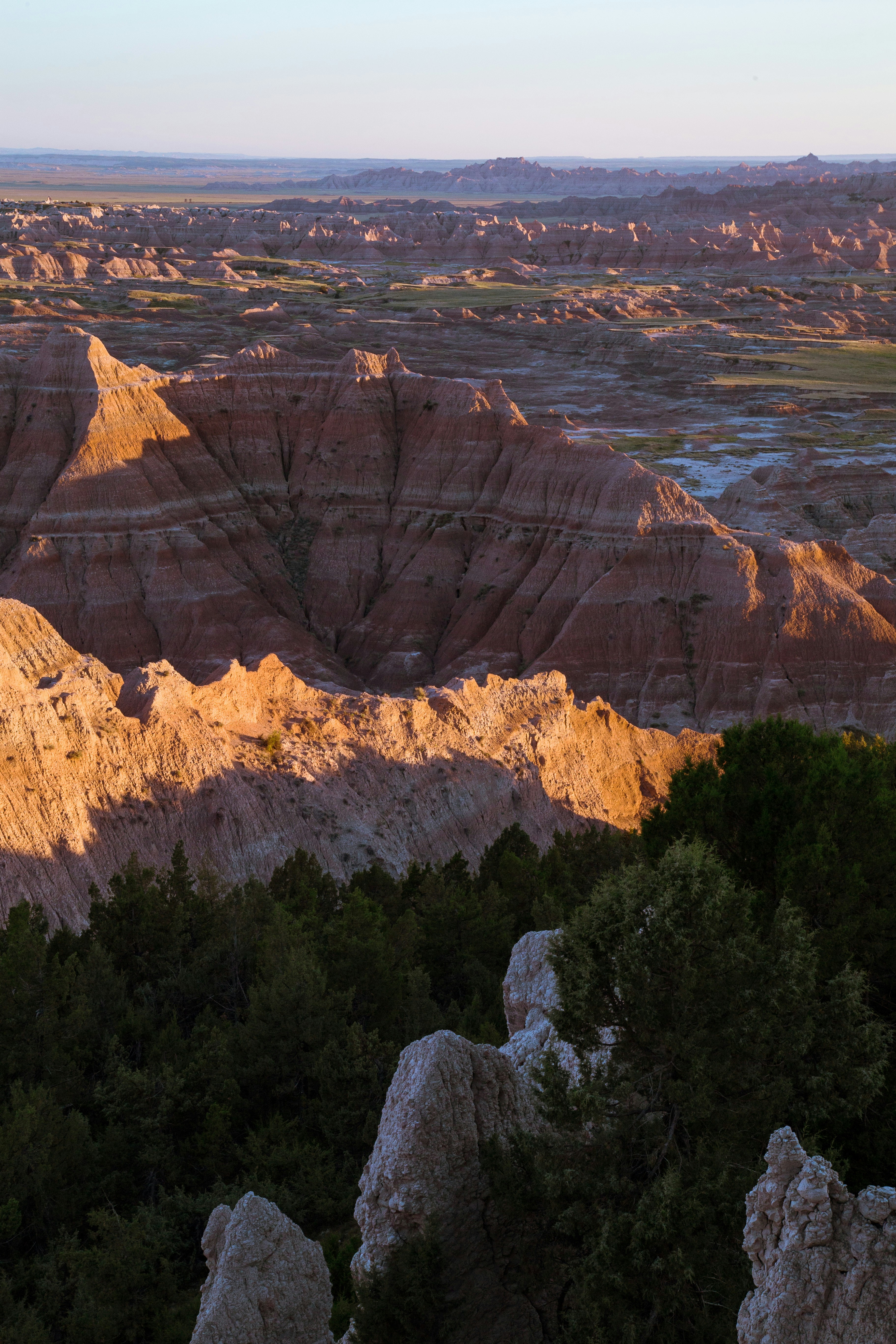 Brauner Rocky Mountain mit grünen Bäumen