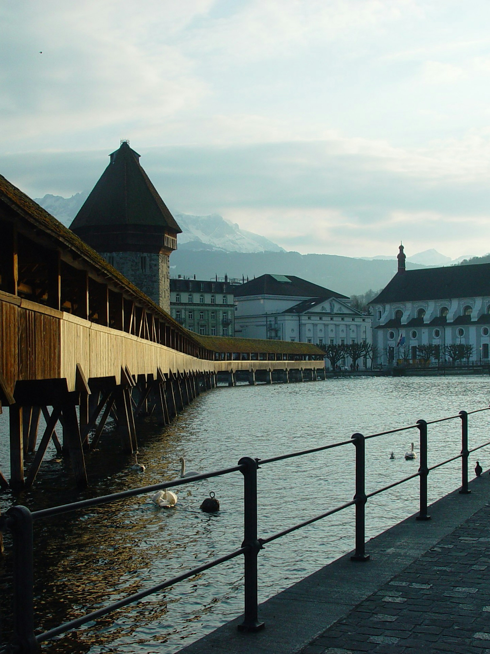 Photo by arnoldstraub