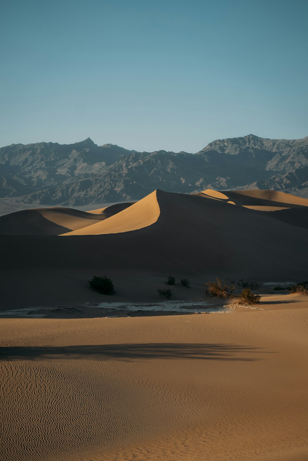 brown sand and green trees near mountain during daytime