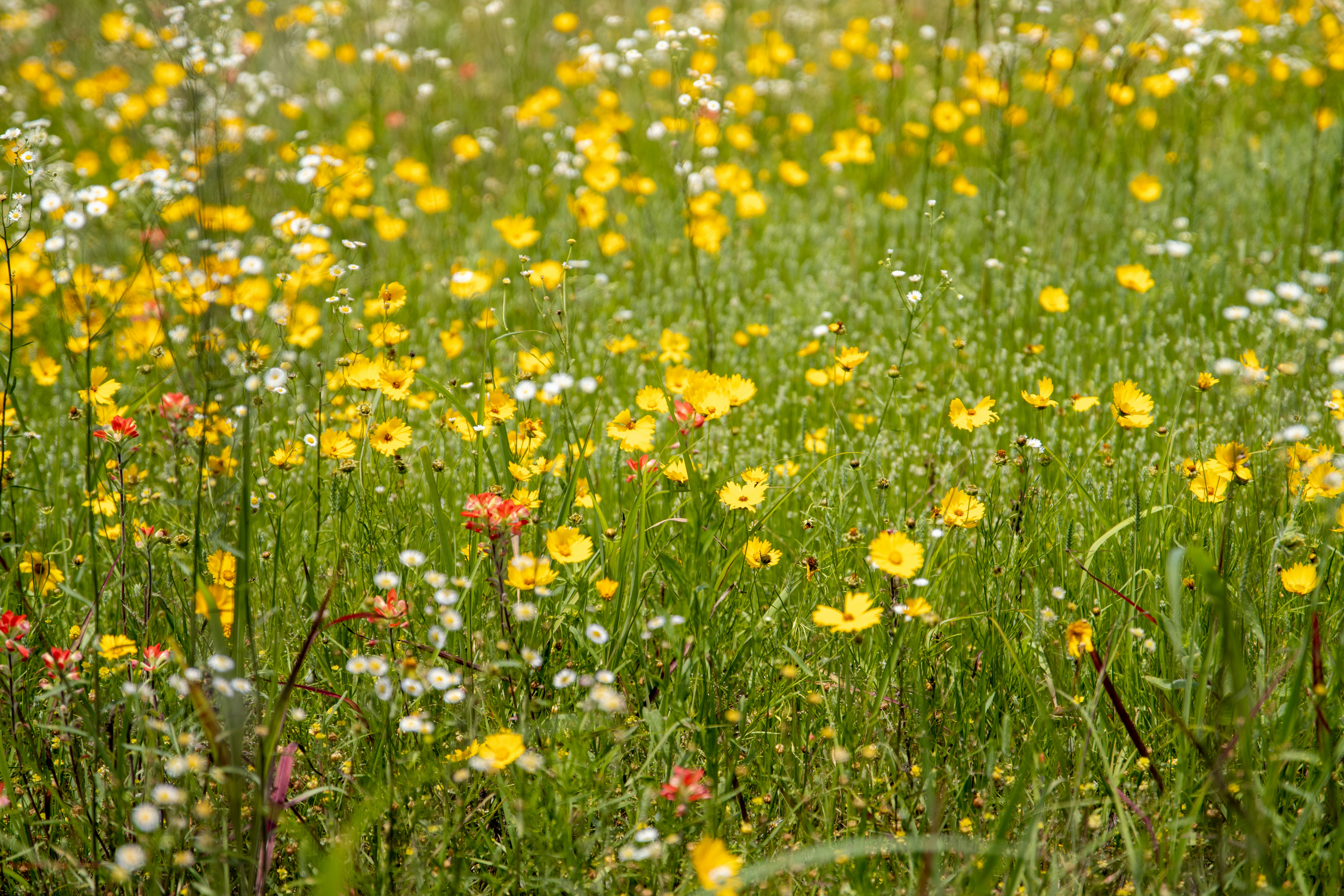 Photo by kennethbaucum