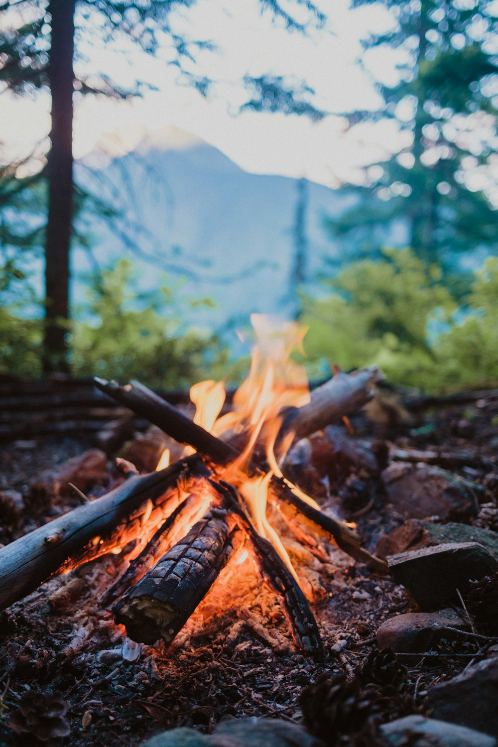 a campfire in the woods with a mountain in the background