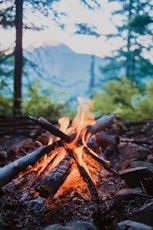 a campfire in the woods with a mountain in the background