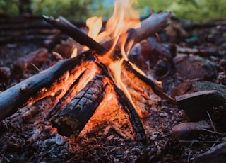 a campfire in the woods with a mountain in the background