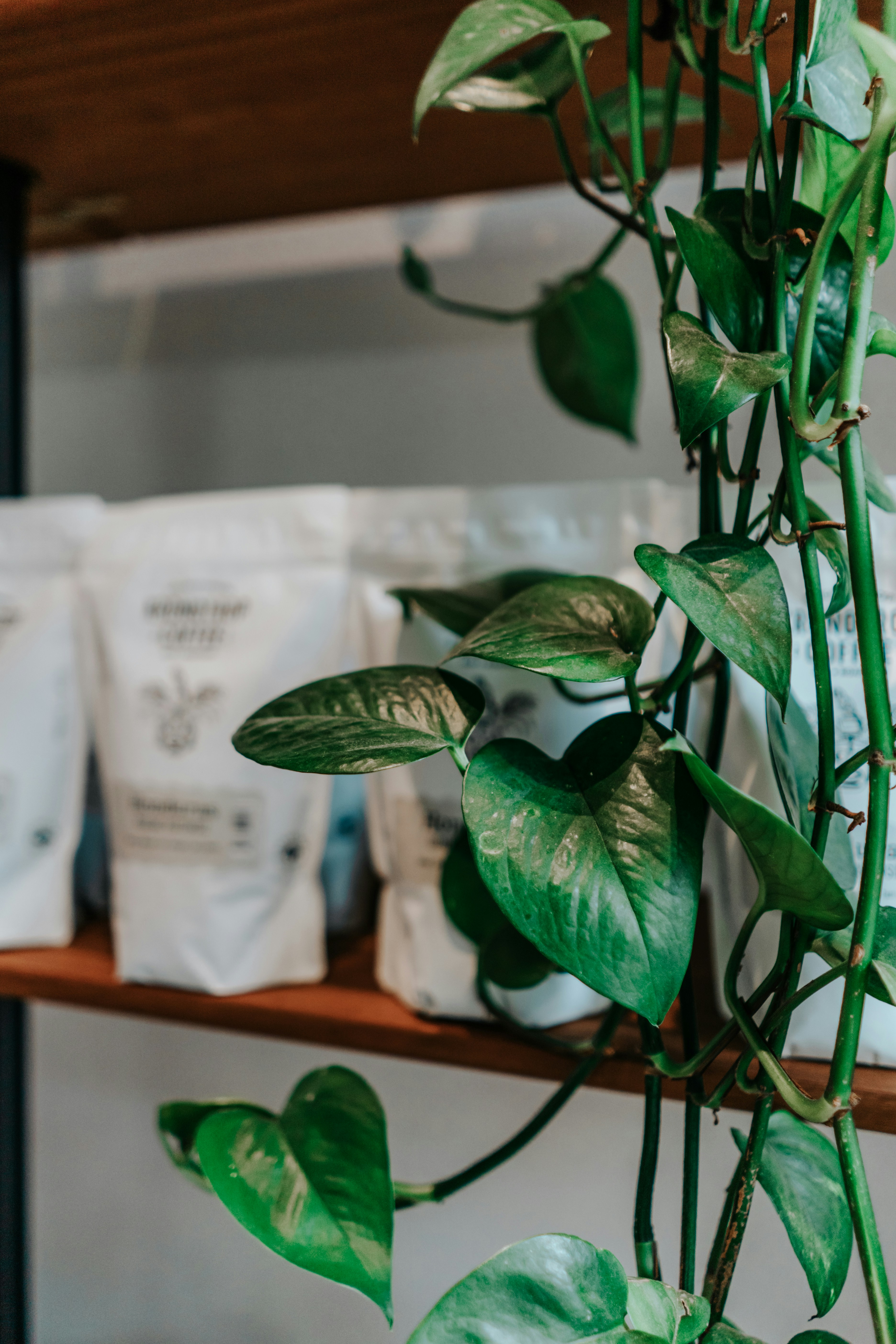 Photo by ceydaciftci