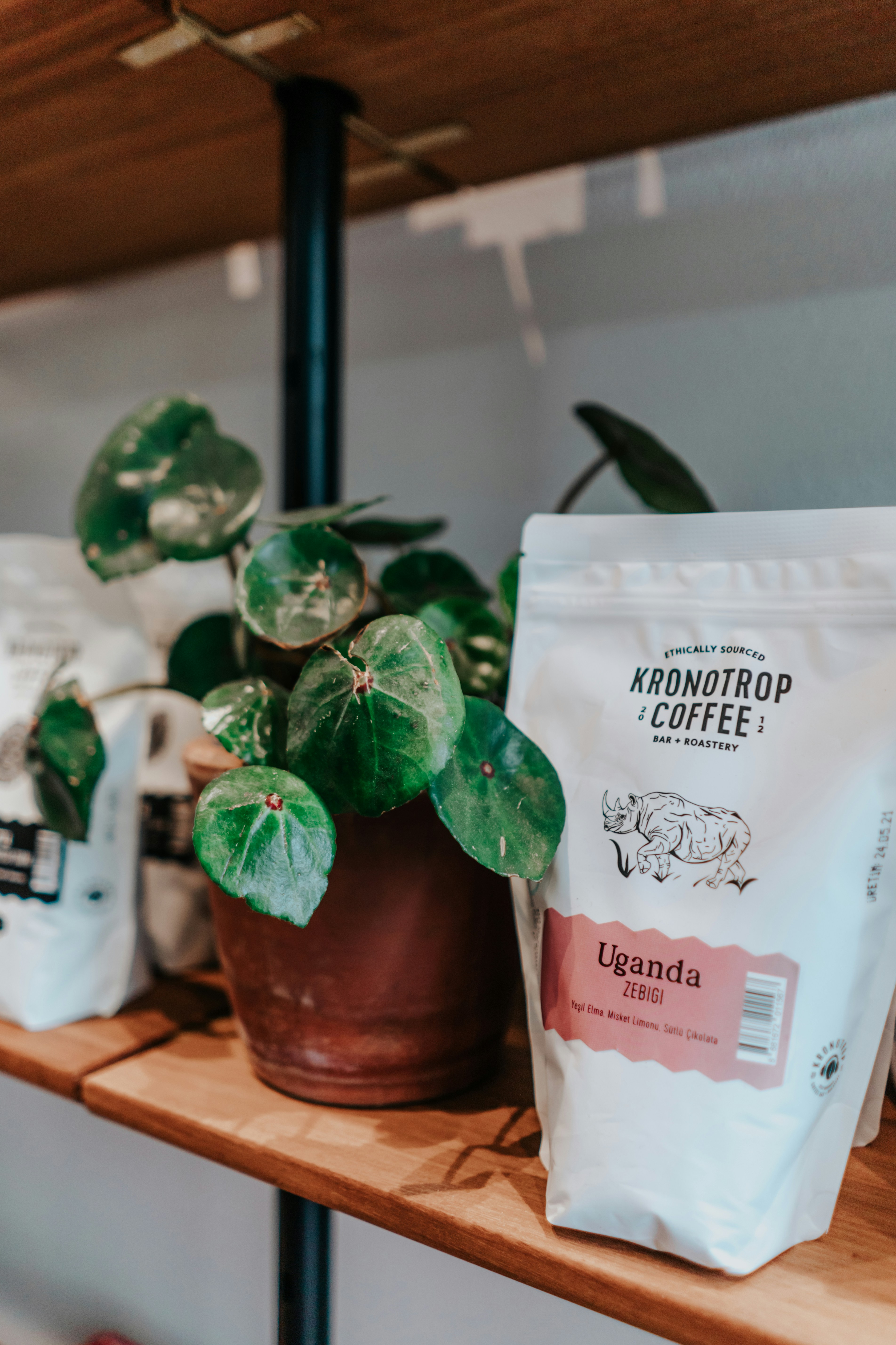 Photo by ceydaciftci