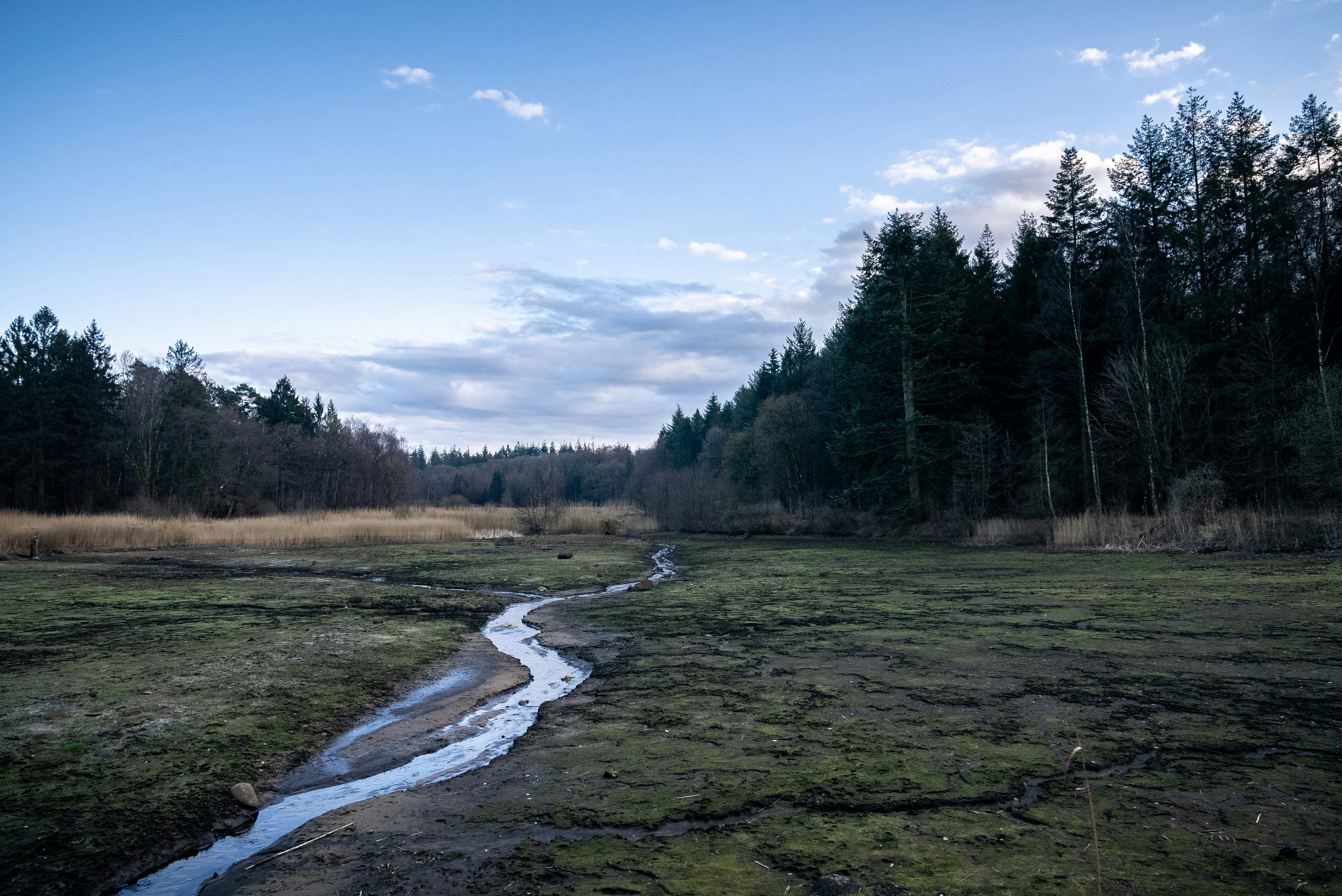 Photo by moritzluedtke