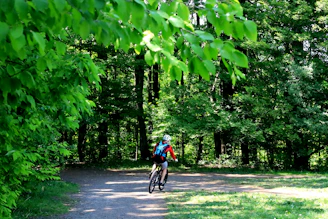 Cyclist riding through a lush green forest trail with sunlight filtering through the trees.