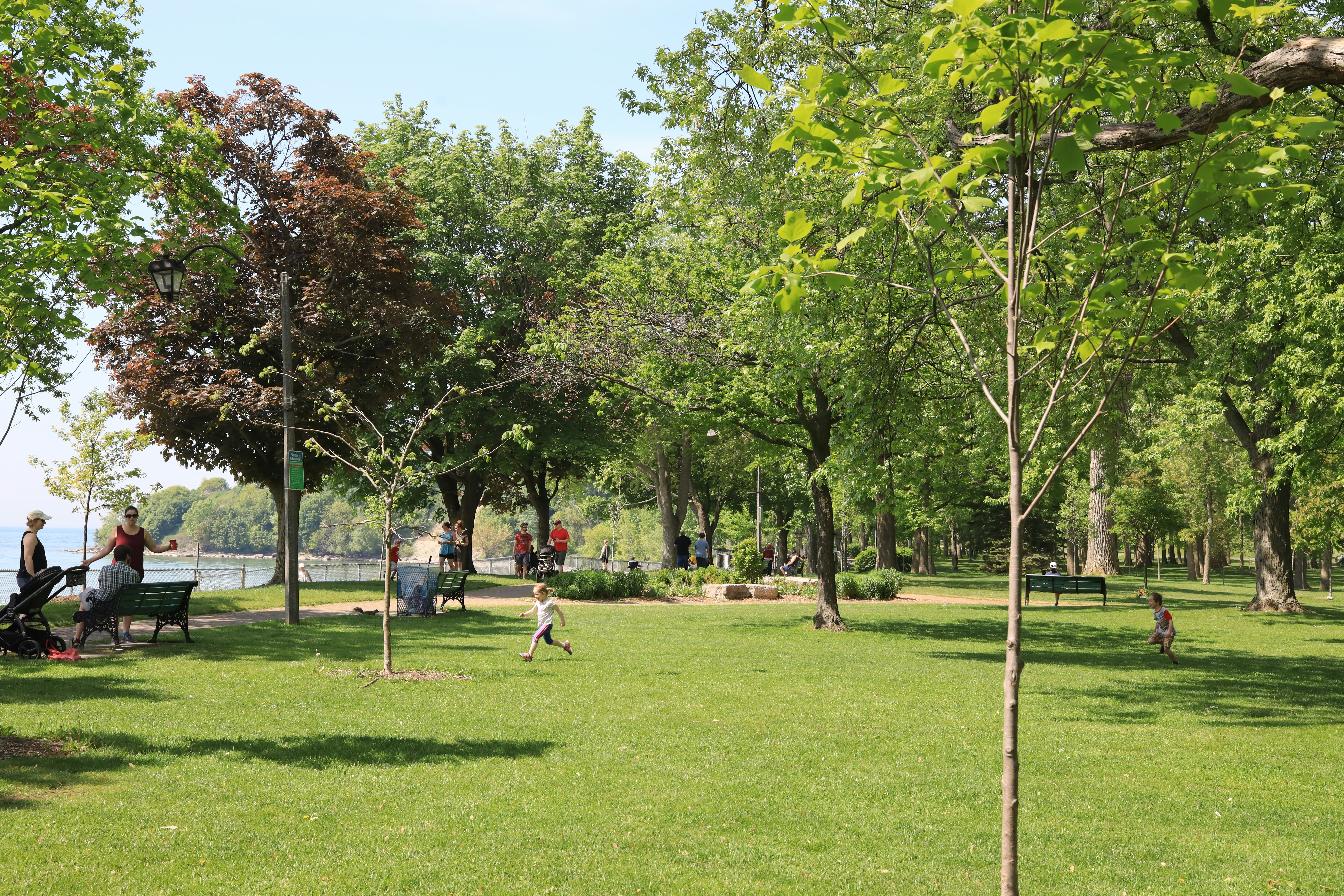 Child playing outdoors in a park on a sunny day, green grass, bright blue sky