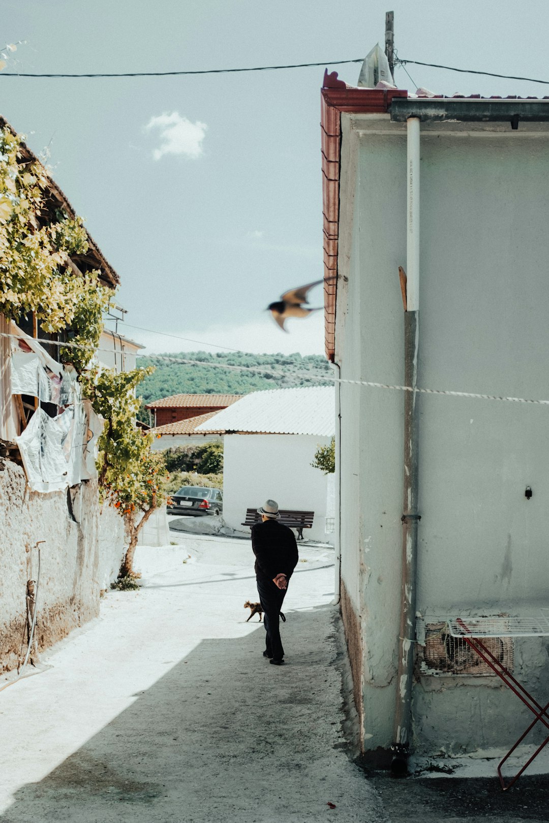 woman in black jacket walking on sidewalk during daytime