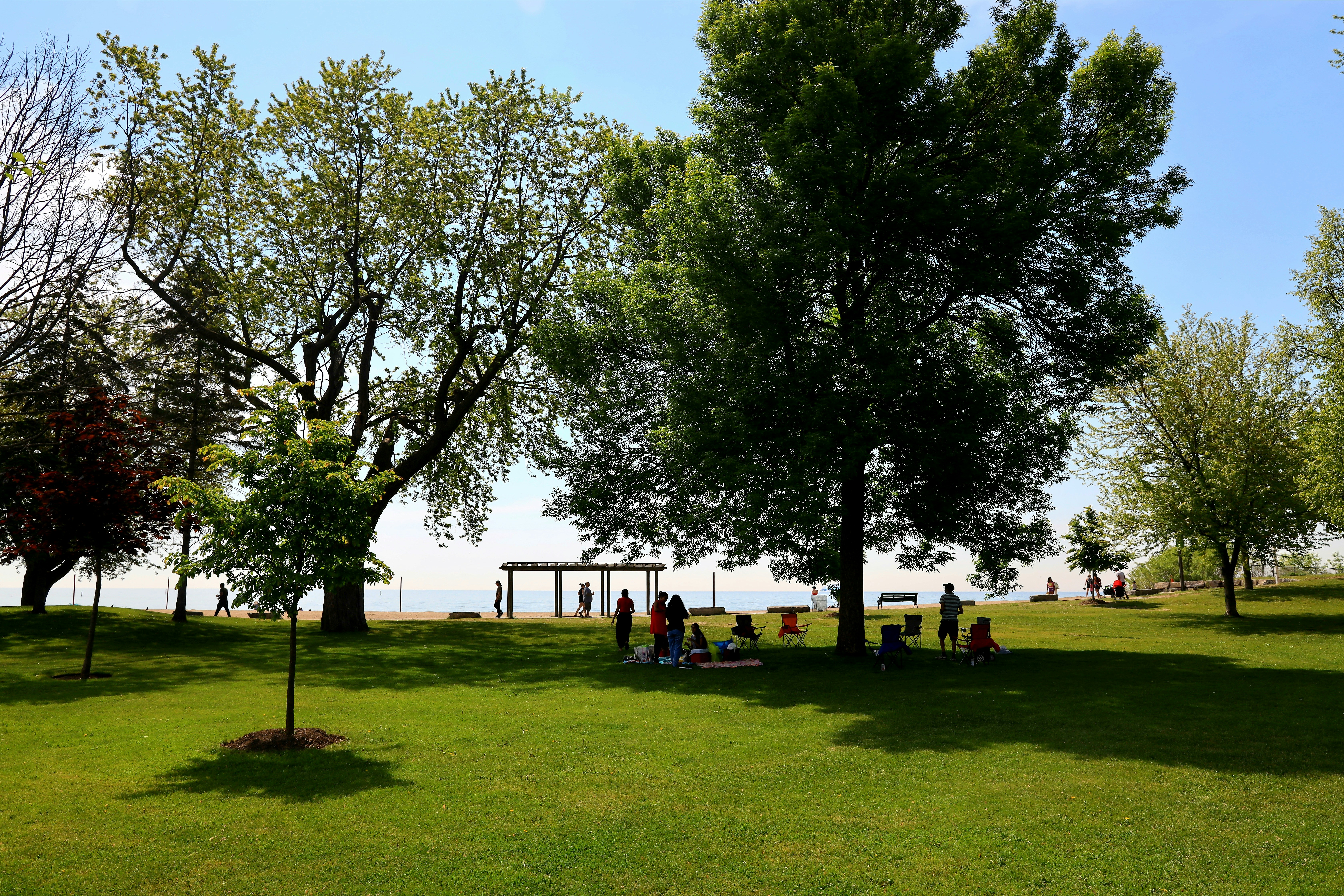 James A White Memorial Park