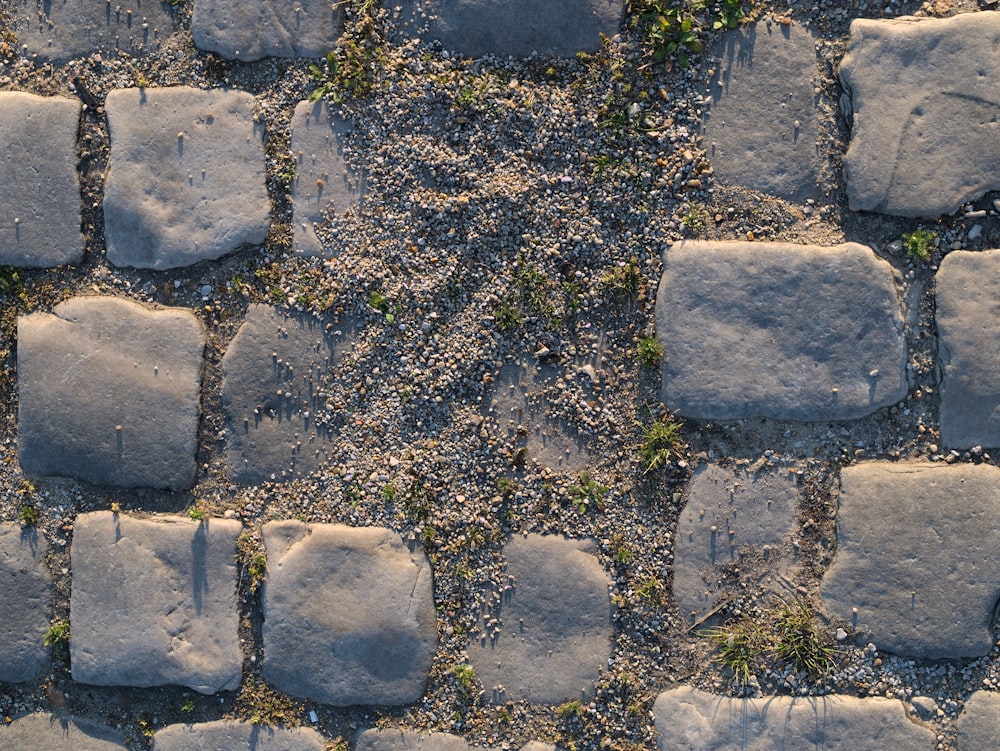 a close up of a stone walkway with grass growing on it