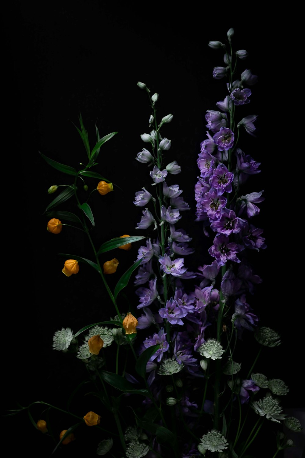 fiori viola e bianchi con foglie verdi