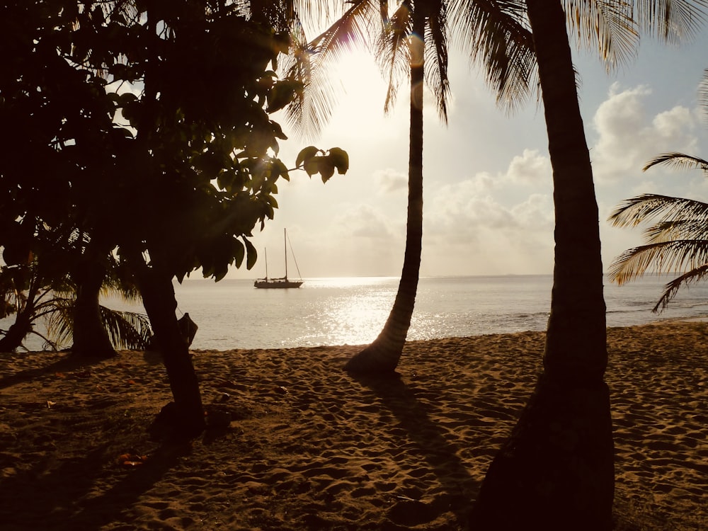 a sailboat in the distance on a tropical beach