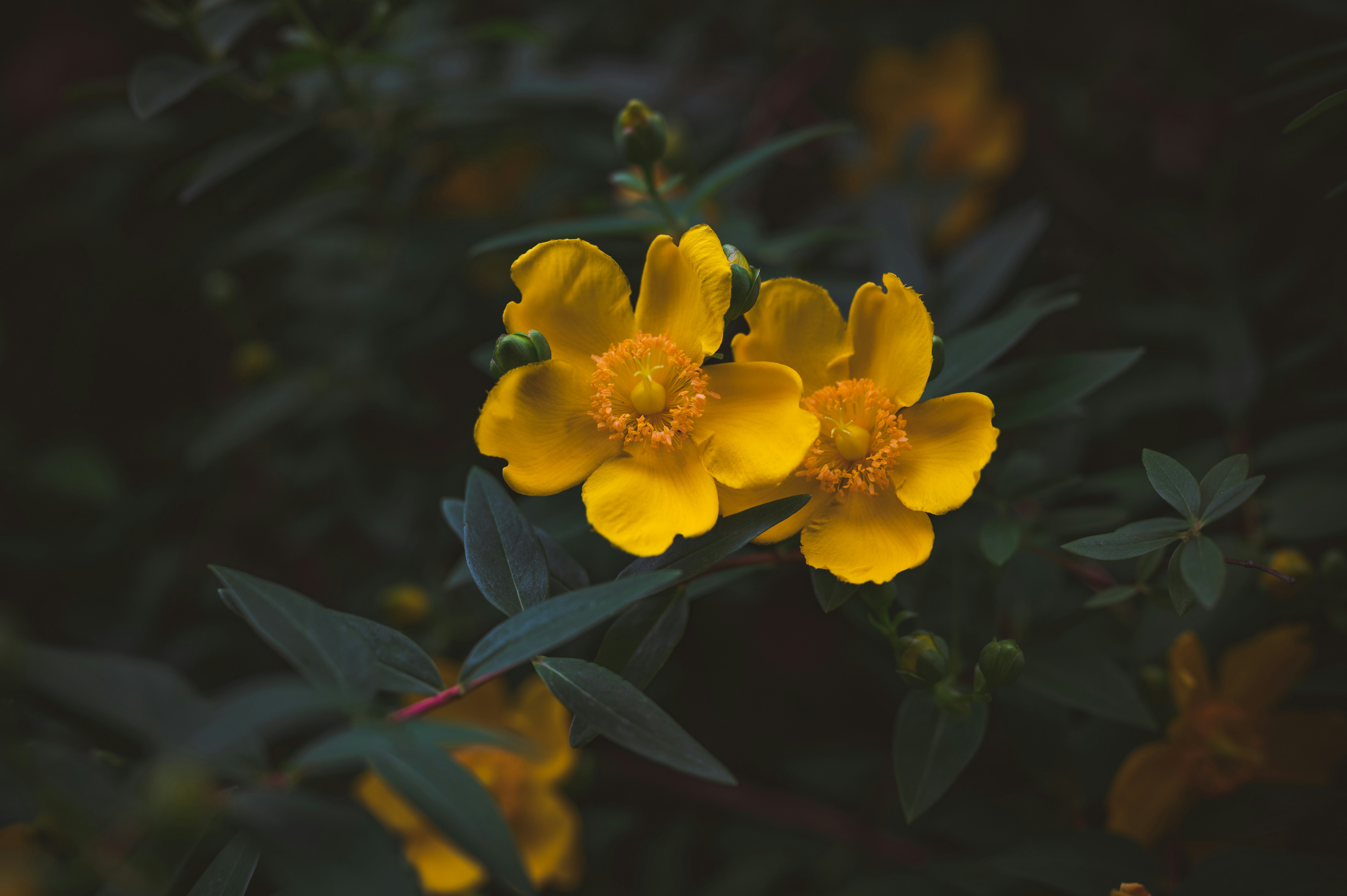 Photo by andreasbrun