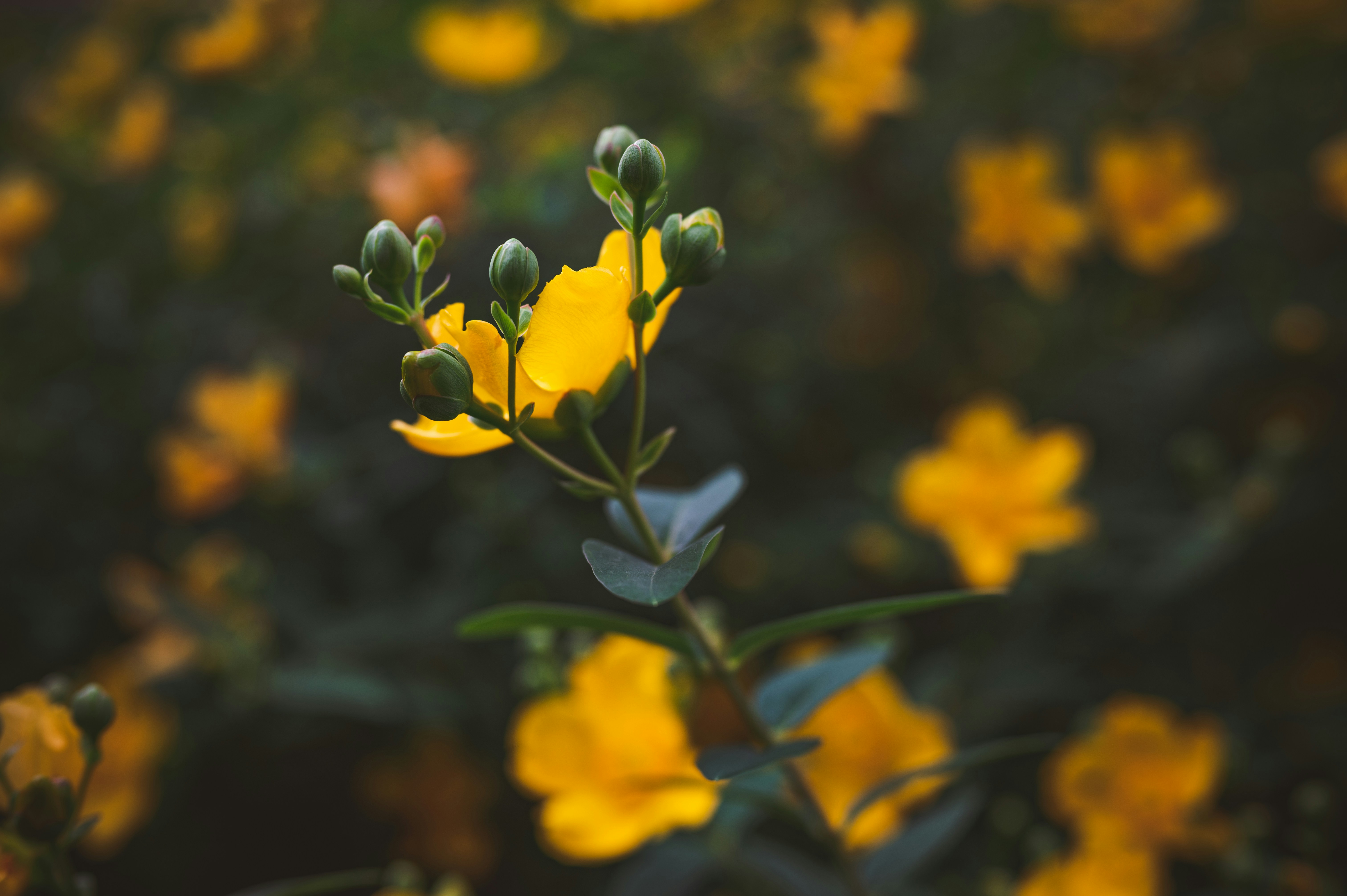 Photo by andreasbrun