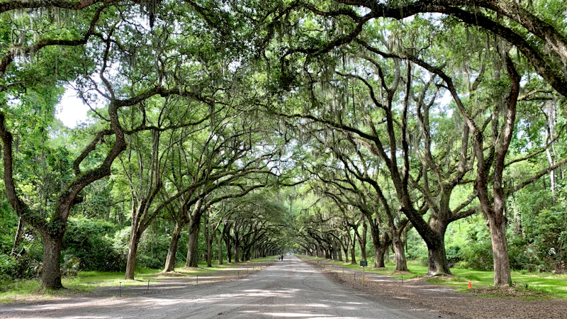 The Best Squares in Savannah to Sit, Sip & Do Absolutely Nothing