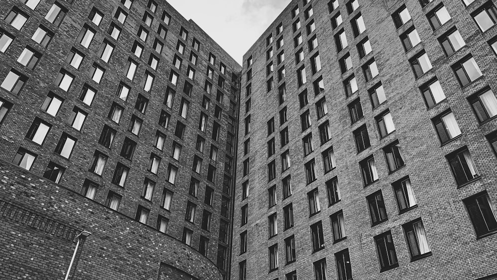 Photo en niveaux de gris d’un bâtiment en béton