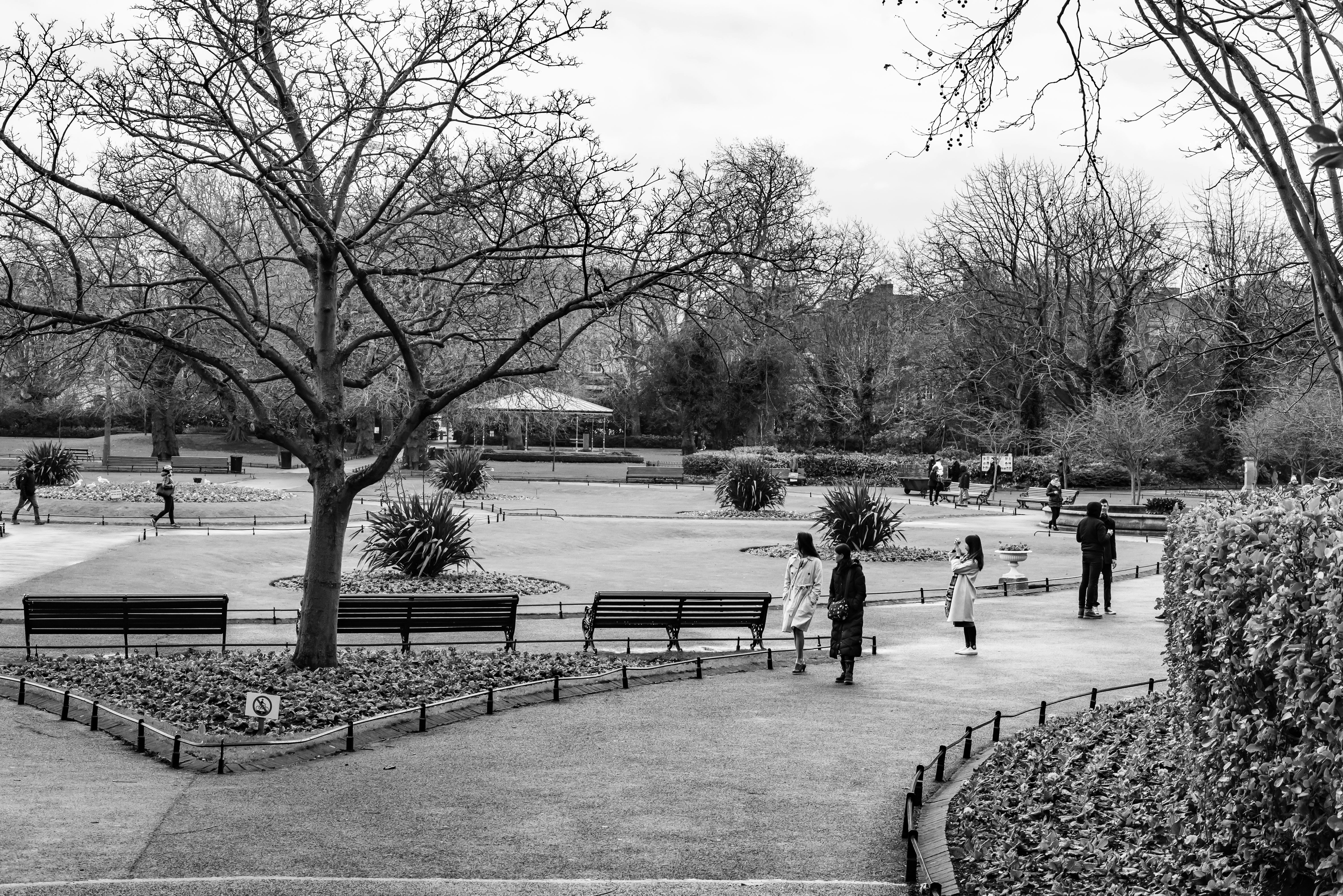 Photo by mollyblackbird