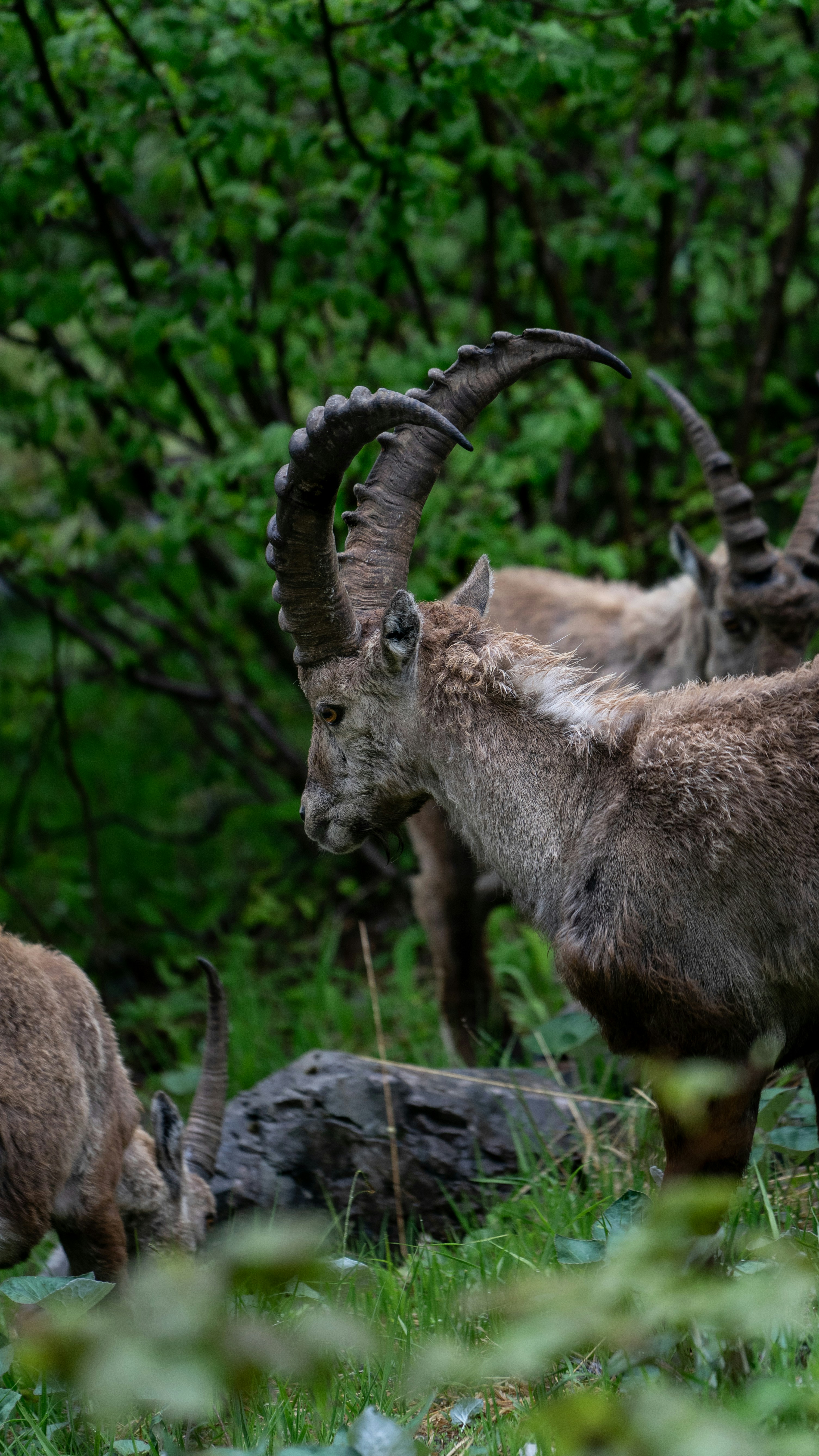 Photo by andreiamza2000