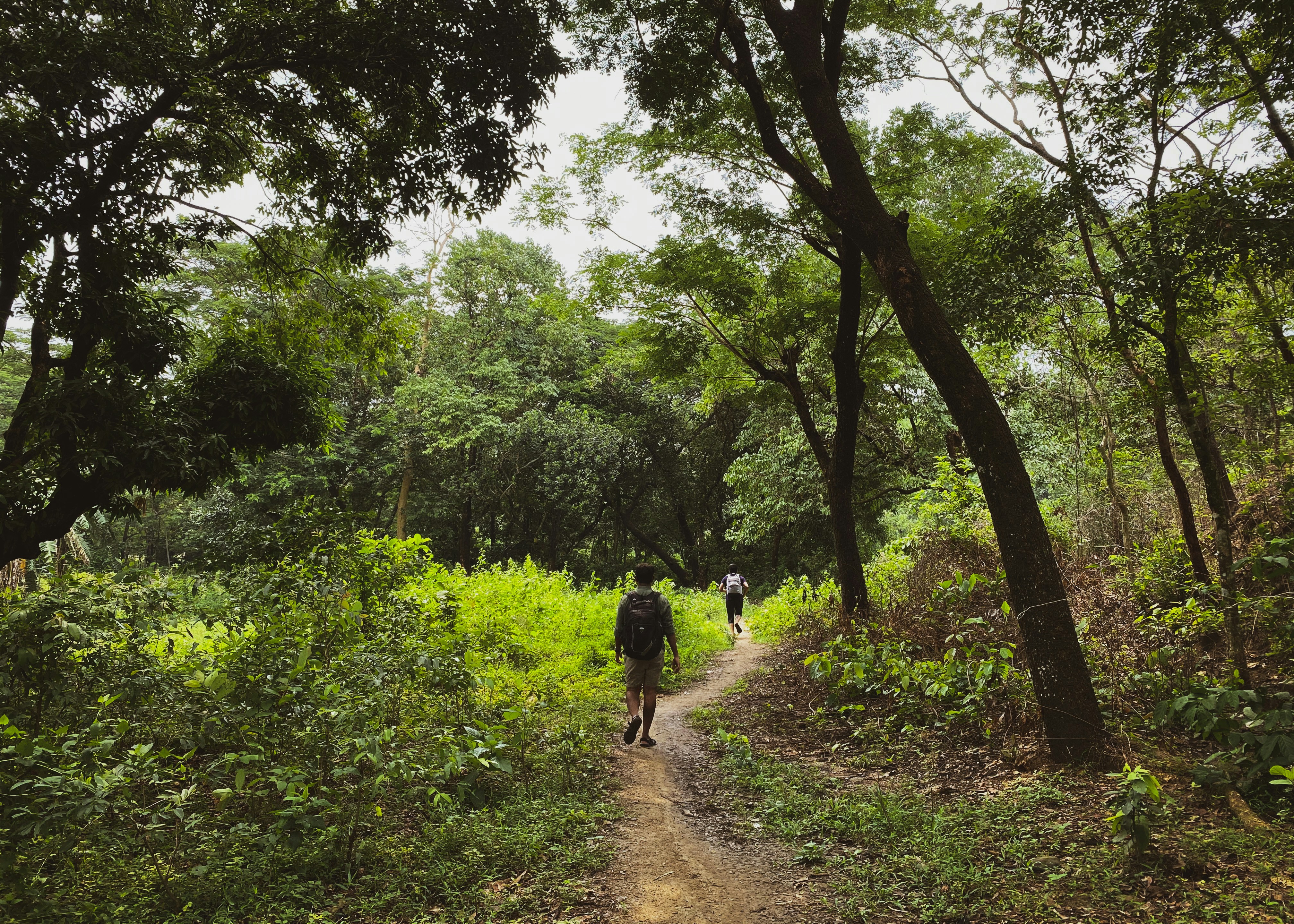 Photo by palit_niloy42