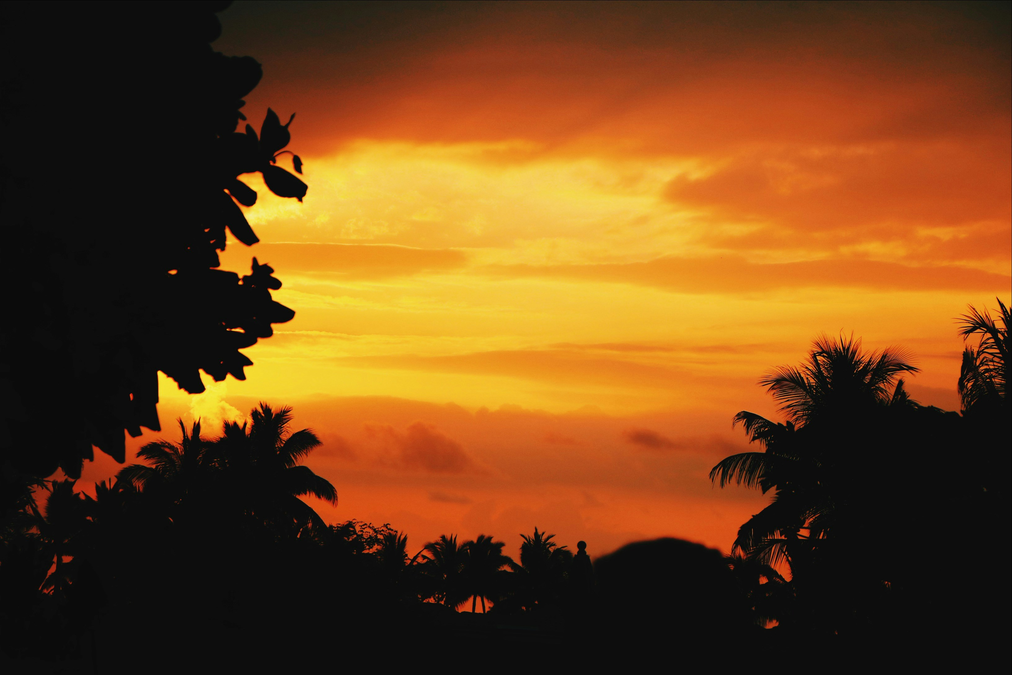 Photo by sarah_mello