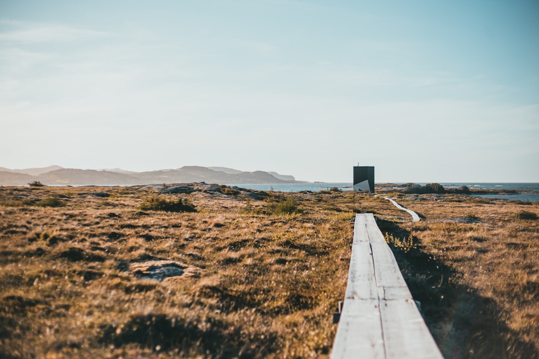 gray concrete road in the middle of brown grass field during daytime