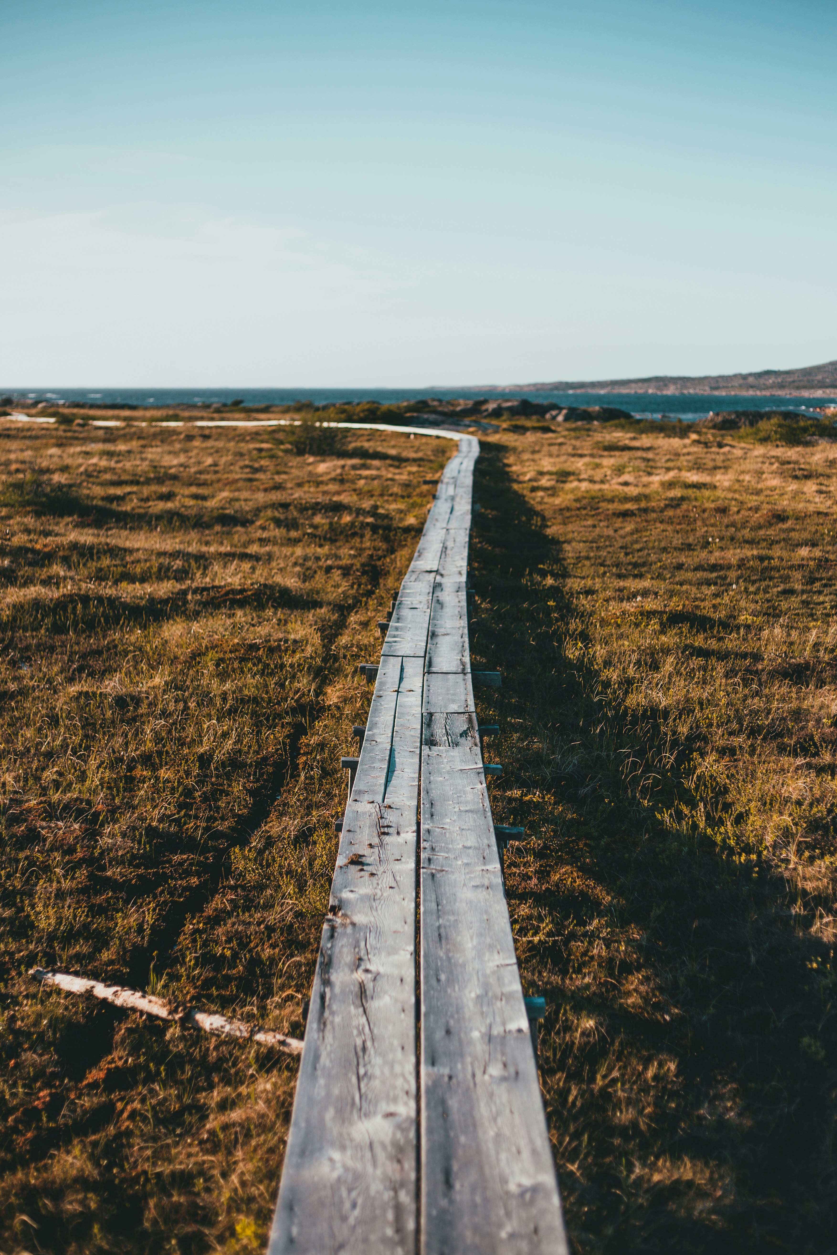 Photo by introspectivedsgn