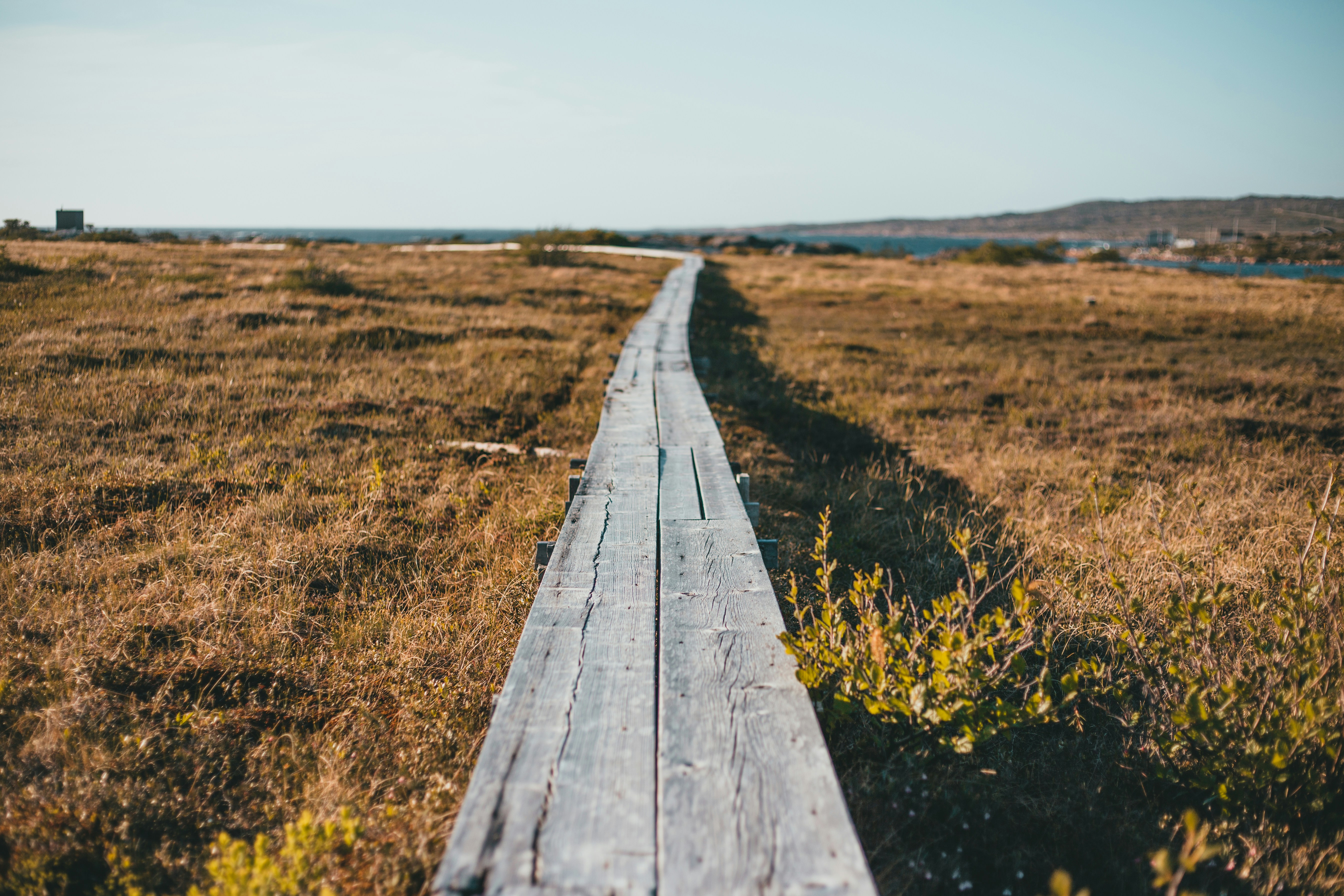 Photo by introspectivedsgn