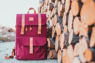 pink and brown leather handbag on brown wooden log