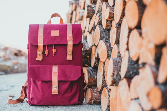 pink and brown leather handbag on brown wooden log