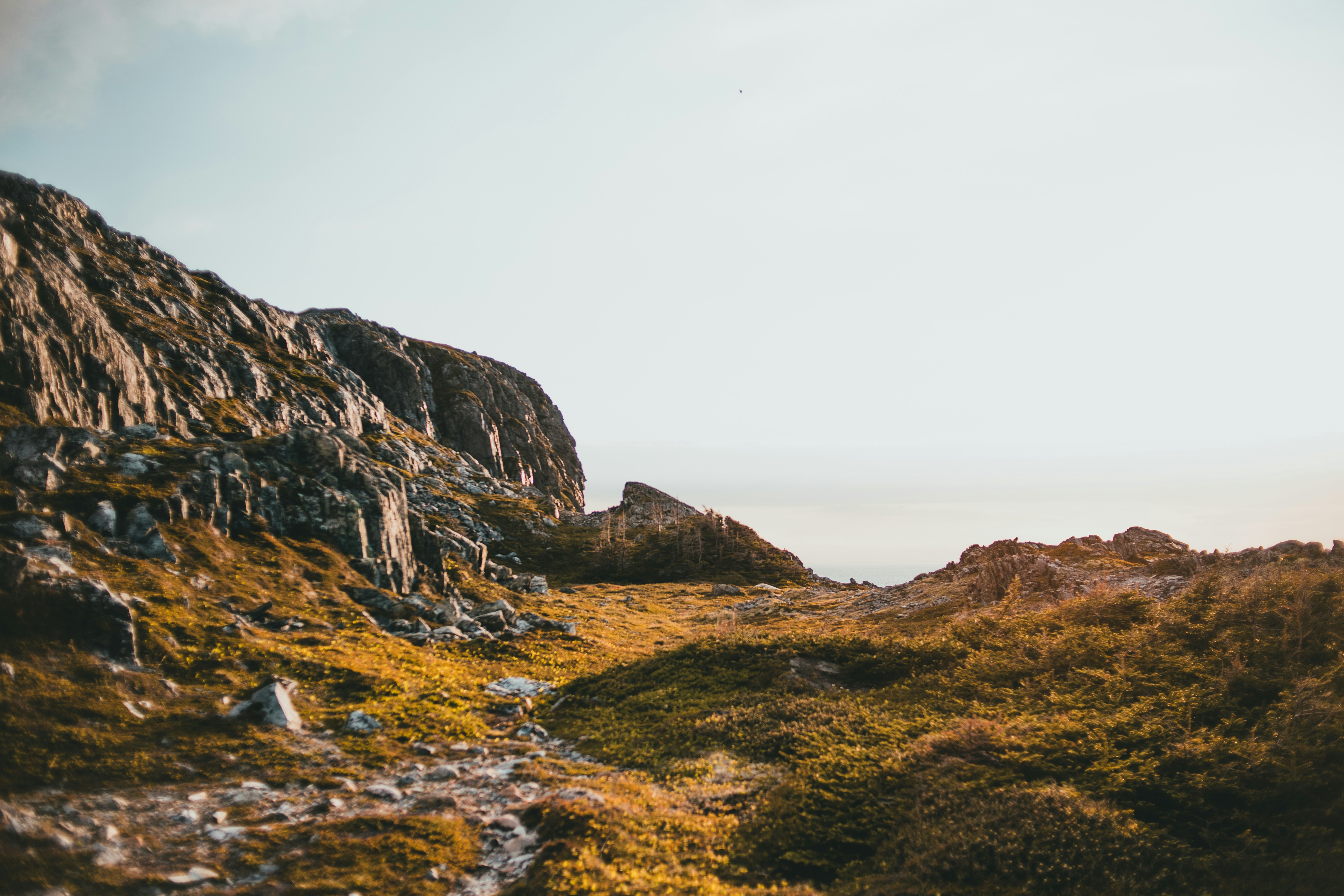 Photo by introspectivedsgn