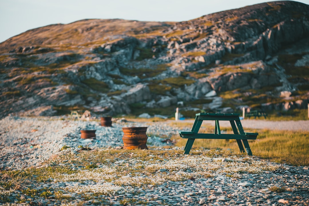 brown wooden chair on brown field during daytime