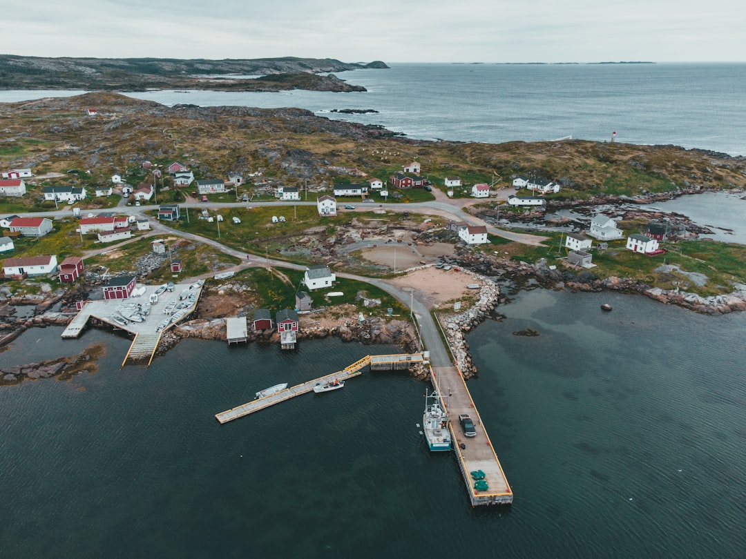 aerial view of city buildings near body of water during daytime