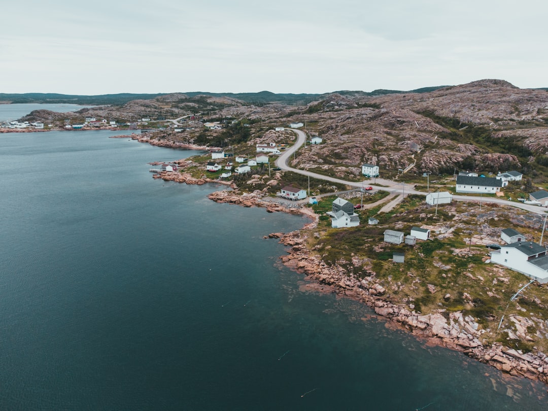 aerial view of city near body of water during daytime