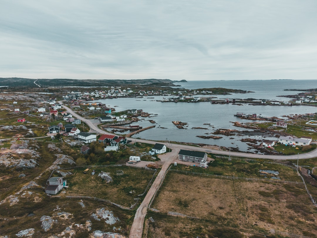 aerial view of city near body of water during daytime