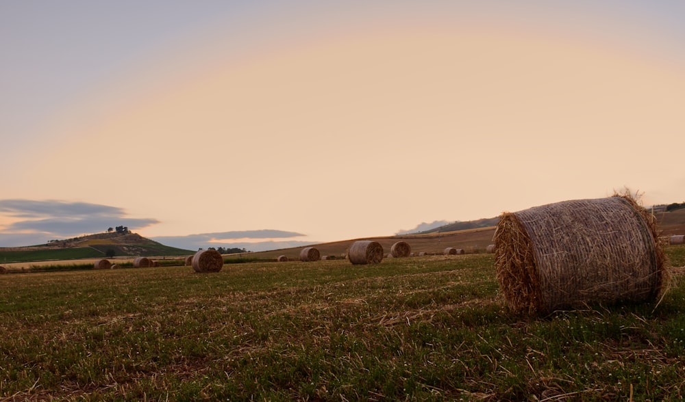 a field full of hay bales with a rainbow in the background