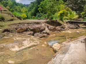 A serene natural landscape featuring a small rocky stream surrounded by lush greenery. Trees and shrubs in various shades of green line the banks, while brightly colored flowers add a touch of vibrancy. A bridge can be seen in the background, adding a human element to the tranquil setting.