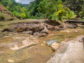 A serene natural landscape featuring a small rocky stream surrounded by lush greenery. Trees and shrubs in various shades of green line the banks, while brightly colored flowers add a touch of vibrancy. A bridge can be seen in the background, adding a human element to the tranquil setting.