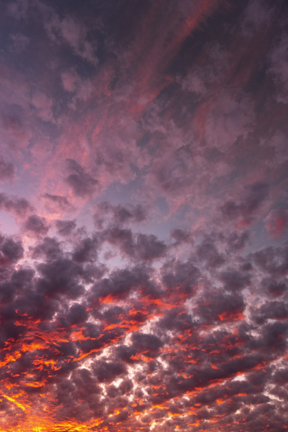 a plane flying in the sky at sunset