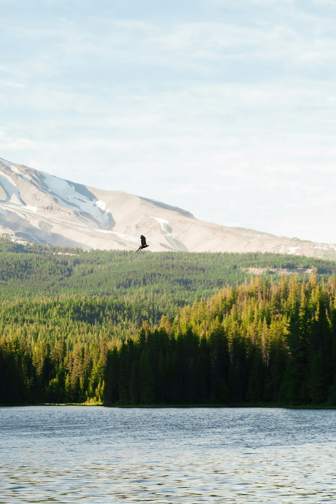 green trees near mountain under white sky during daytime