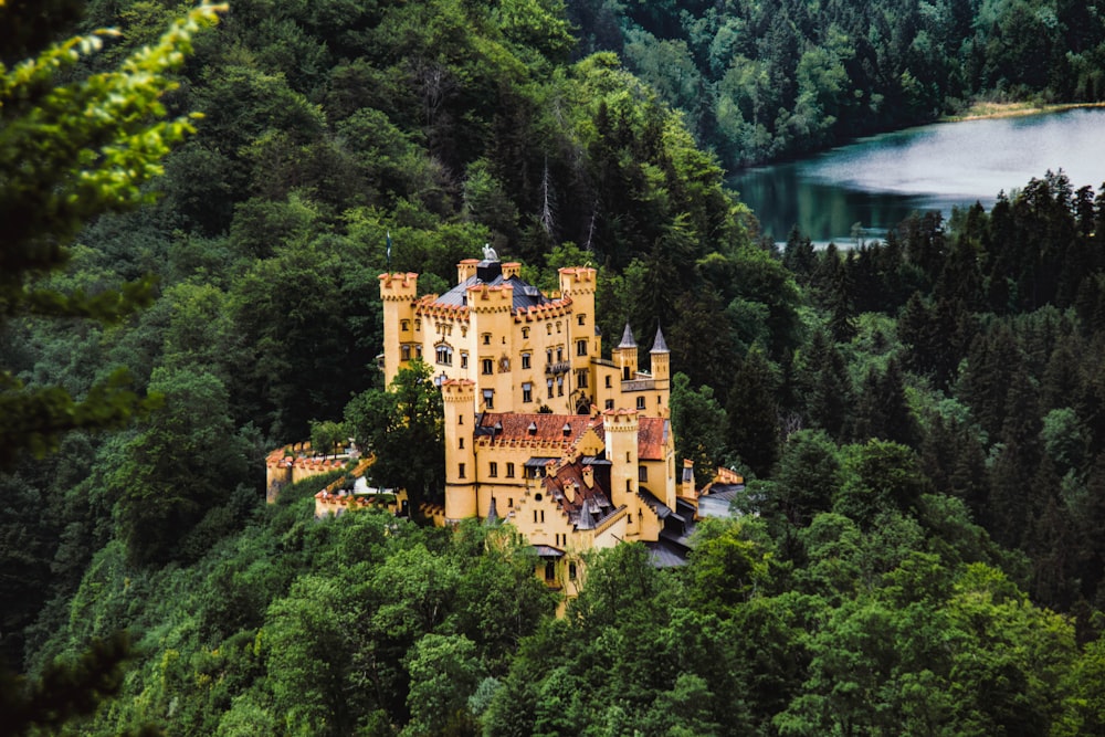 castelo de concreto marrom na montanha verde