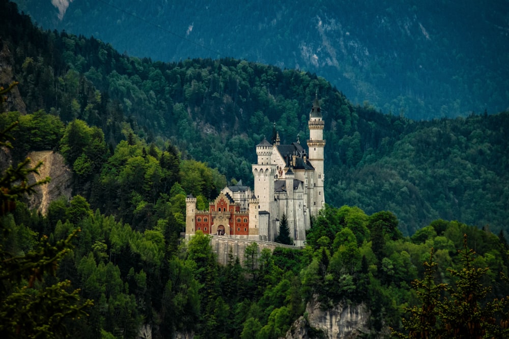a castle on top of a mountain surrounded by trees
