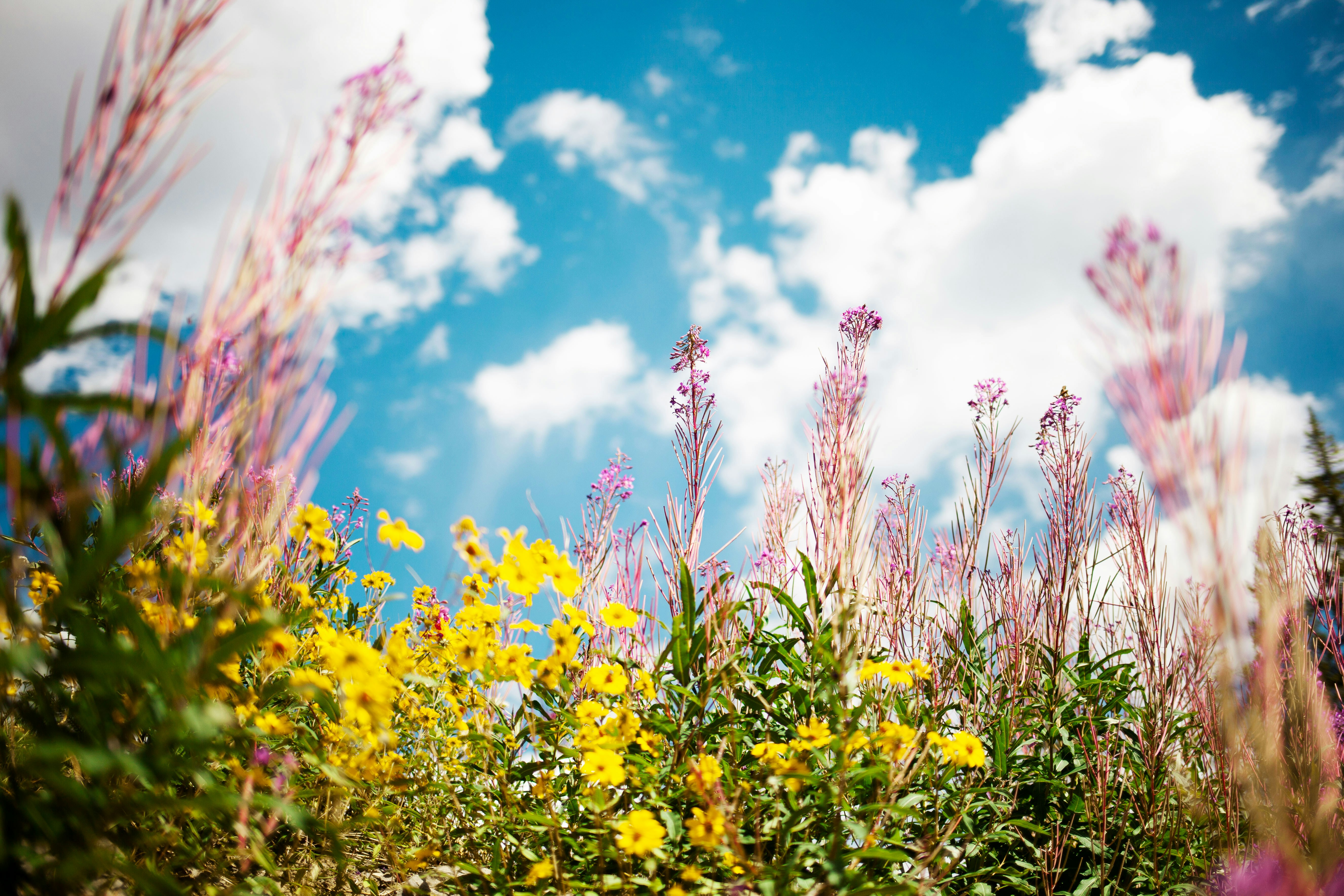 Photo by taylorkiddphoto