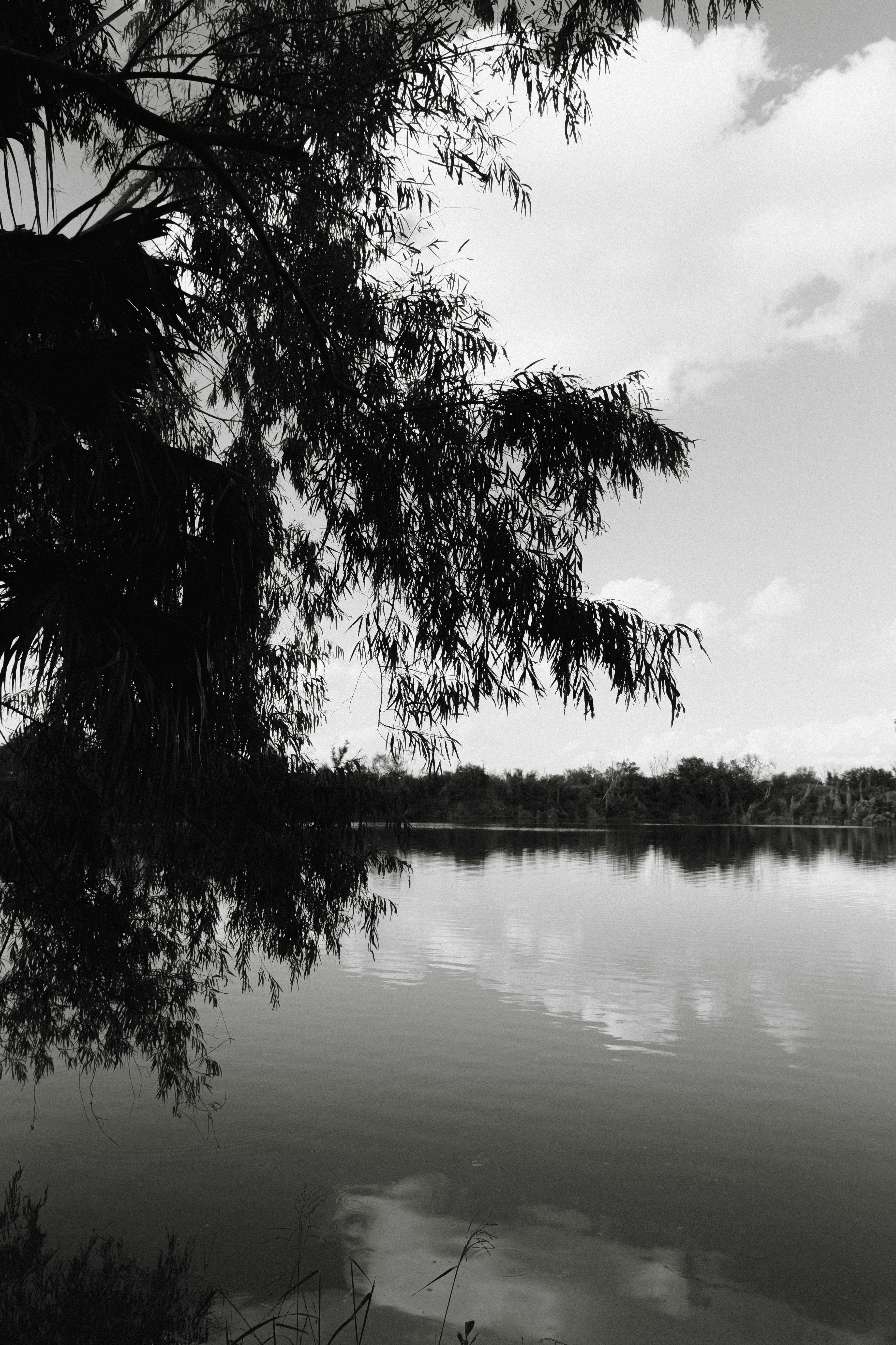 Photo by benignohoyuela