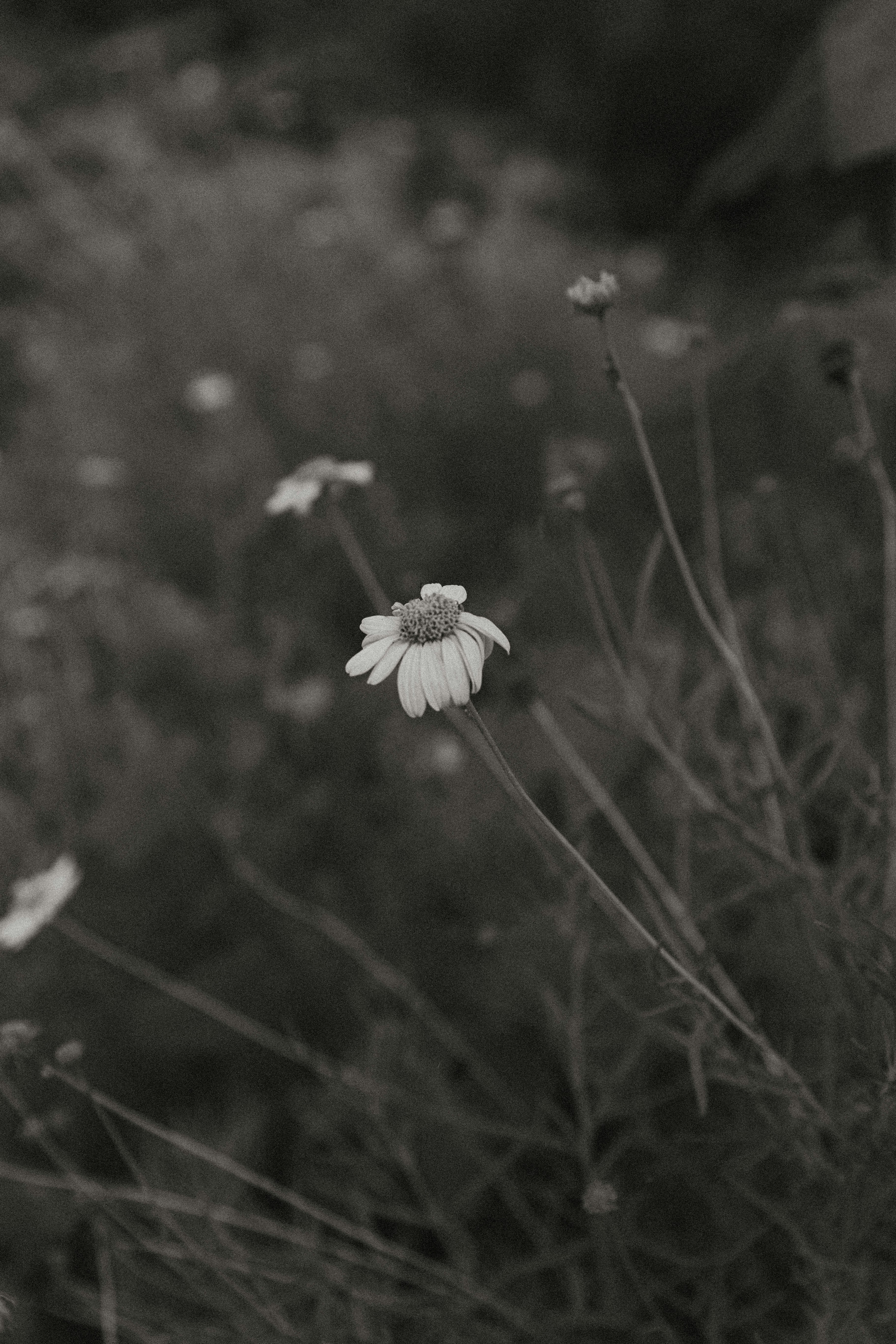 Photo by benignohoyuela