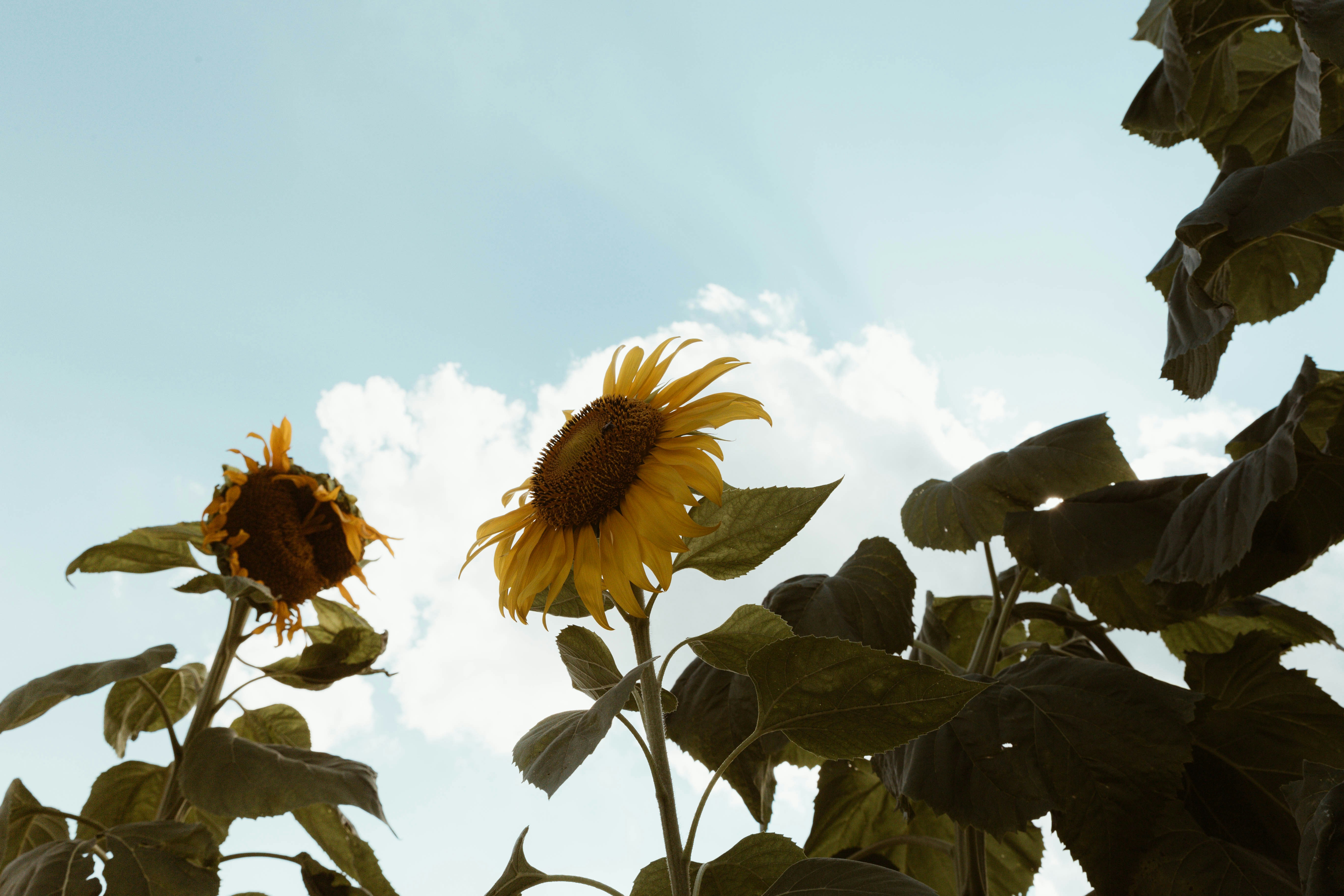 Photo by benignohoyuela